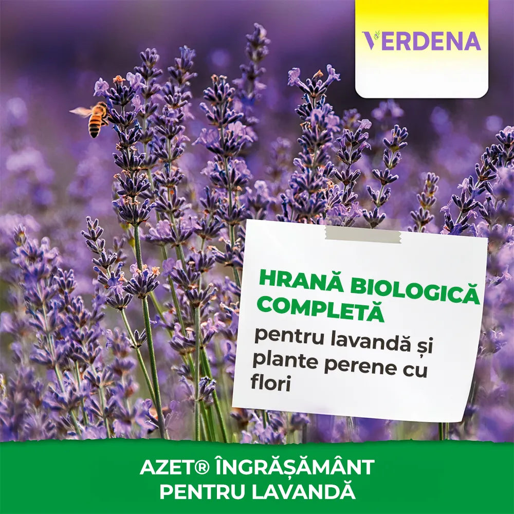 Ingrasamant Special Azet pentru Lavanda, 750 g, Neudorff