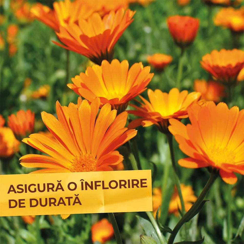 Ingrasamant Special pentru Flori si Plante Perene, 2.5 kg, cu Efect Imediat si de Lunga Durata, SOLABIOL