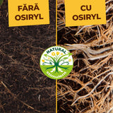Ingrasamant Special pentru Rhododendron si Hortensii, 1.5 kg, cu Efect Imediat si de Lunga Durata, SOLABIOL
