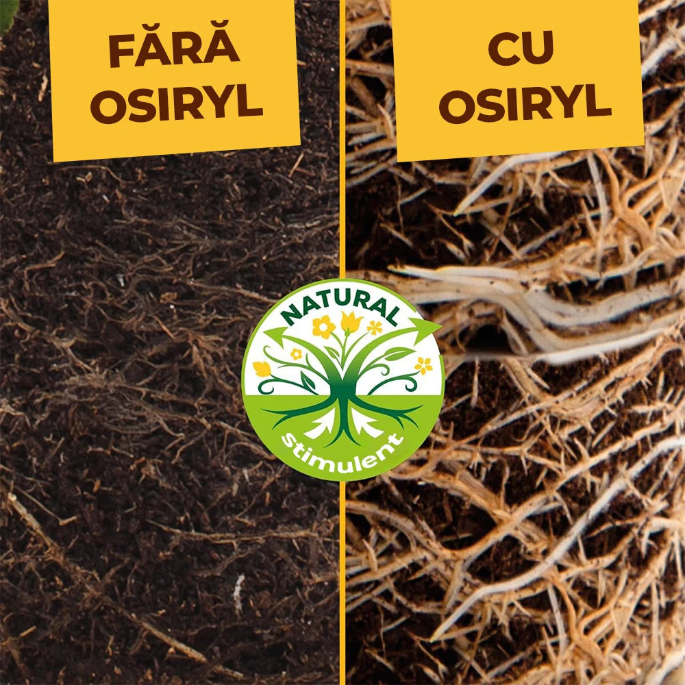 Ingrasamant pentru Arbori, Arbusti si Garduri Vii, 1.5 kg, cu Stimulator de Radacini si Efect Imediat si de Lunga Durata, SOLABIOL