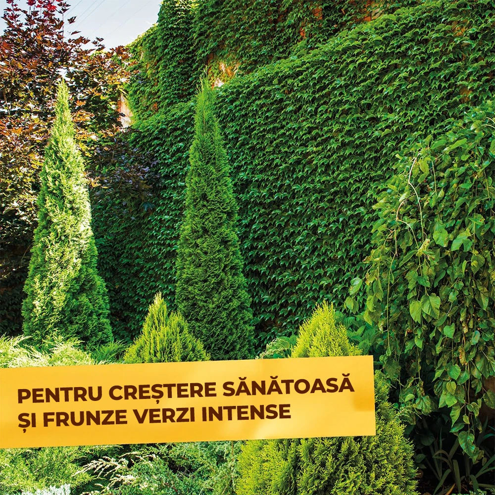 Ingrasamant pentru Arbori, Arbusti si Garduri Vii, 1.5 kg, cu Stimulator de Radacini si Efect Imediat si de Lunga Durata, SOLABIOL