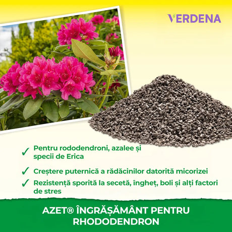 Ingrasamant pentru Azalee si Rhododendroni, 1 kg, NEUDORFF