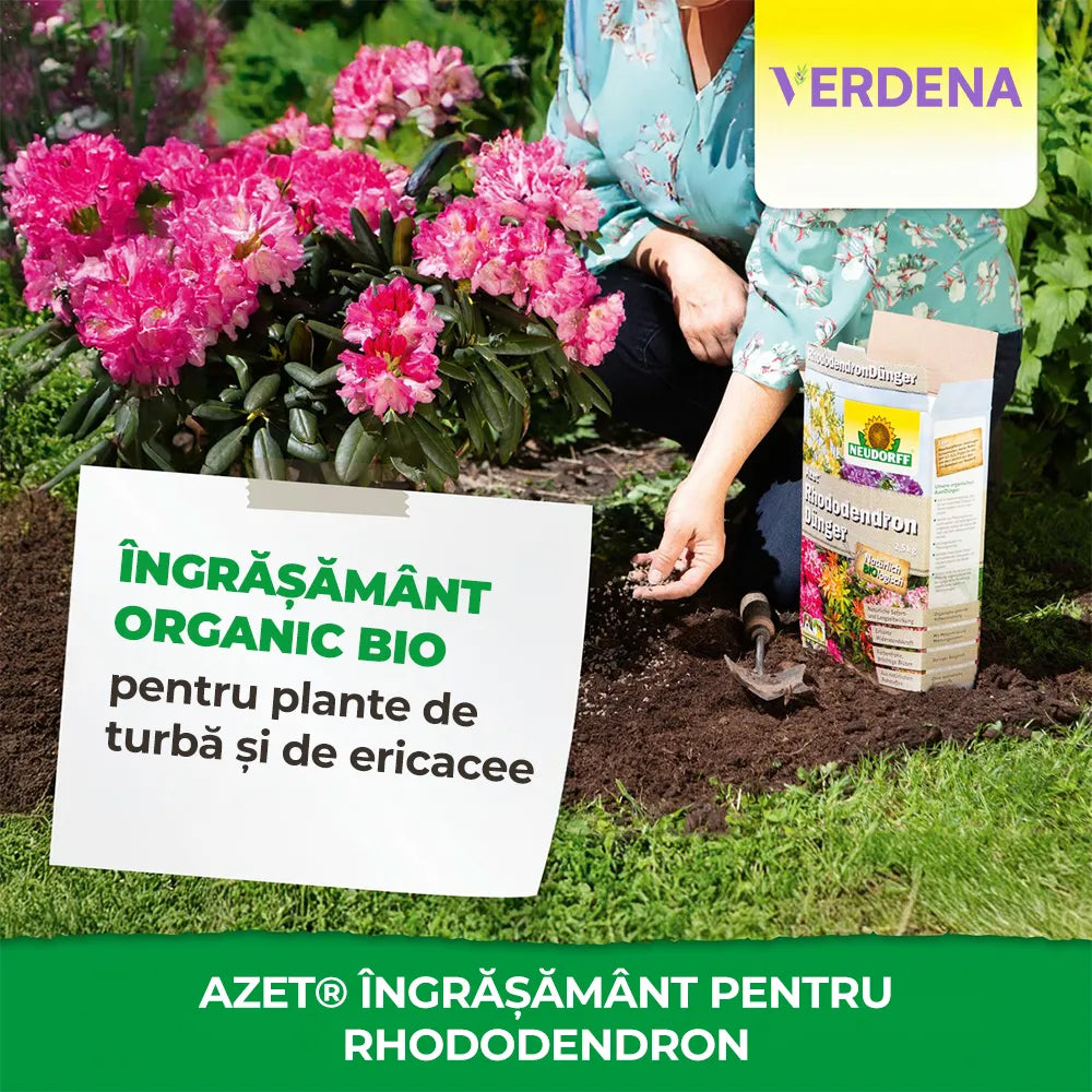 Ingrasamant pentru Azalee si Rhododendroni, 1 kg, pentru plante acidofile si fructe de padure, NEUDORFF
