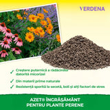 Ingrasamant pentru Plante Perene, 1 kg, NEUDORFF