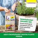 Ingrasamant pentru Plante Perene, 1 kg, NEUDORFF