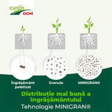 Ingrasamant Special pentru Laur Englezesc, 3 kg, Efect de Lunga Durata, CUXIN DCM