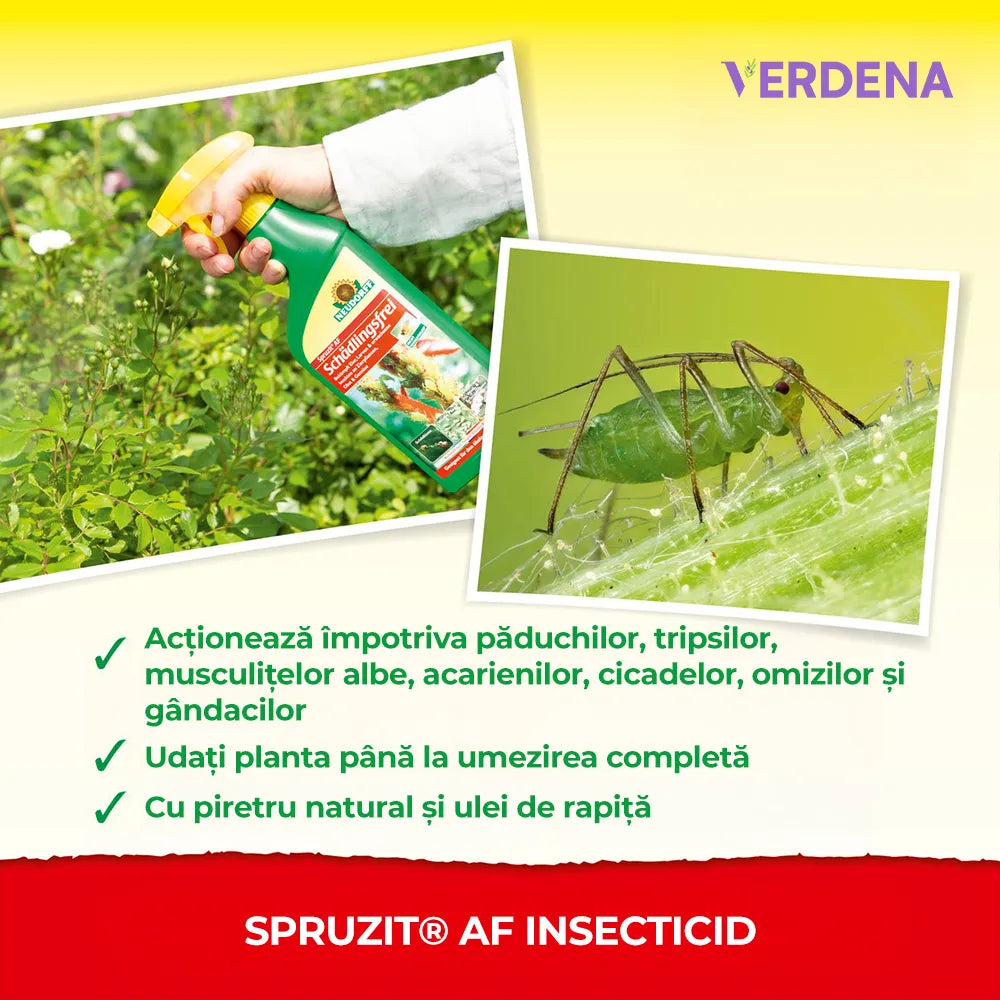 Insecticid 750 ml, Combatere Eficienta a Daunatorilor la Trandafiri, Neudorff