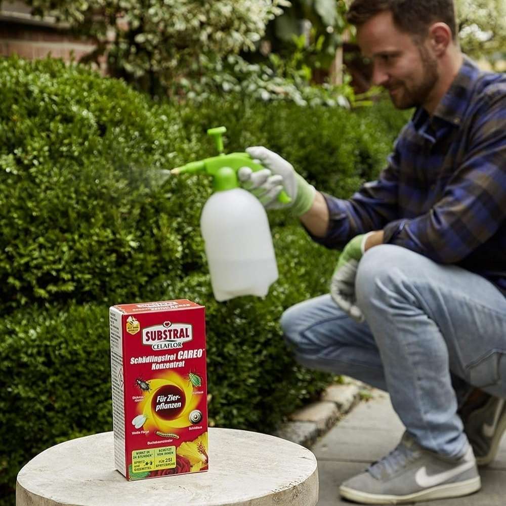 Insecticid Celaflor Careo Concentrat Sistemic pentru Plante Ornamentale si Legume 250 ml