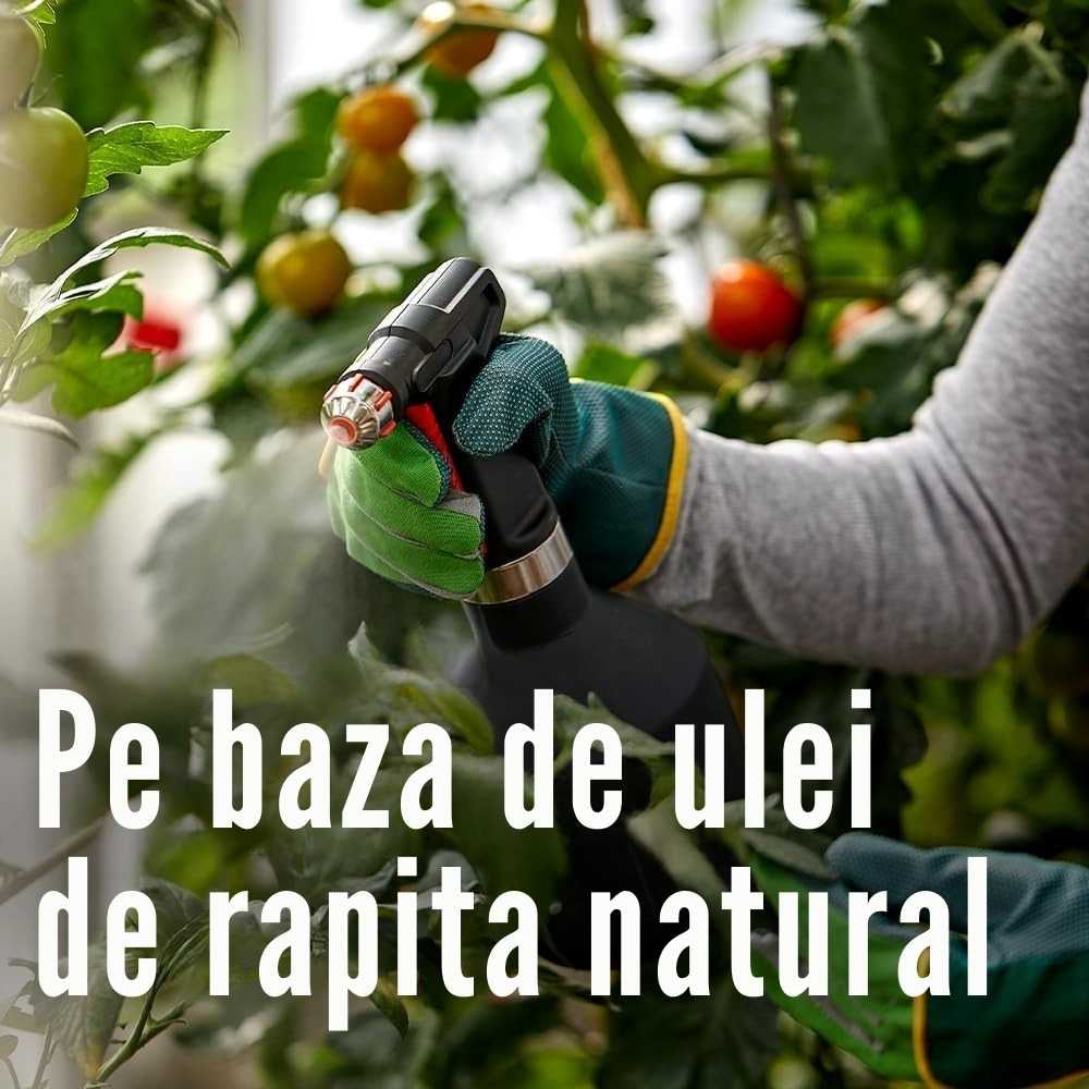 Spray insecticid COMPO Anti-daunatori Plus AF pentru plante ornamentale, legume si fructe, gata de utilizare, 500 ml