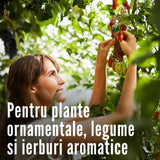 Spray insecticid COMPO Anti-daunatori Plus AF pentru plante ornamentale, legume si fructe, gata de utilizare, 500 ml