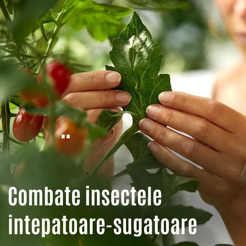 Spray insecticid COMPO Anti-daunatori Plus AF pentru plante ornamentale, legume si fructe, gata de utilizare, 500 ml