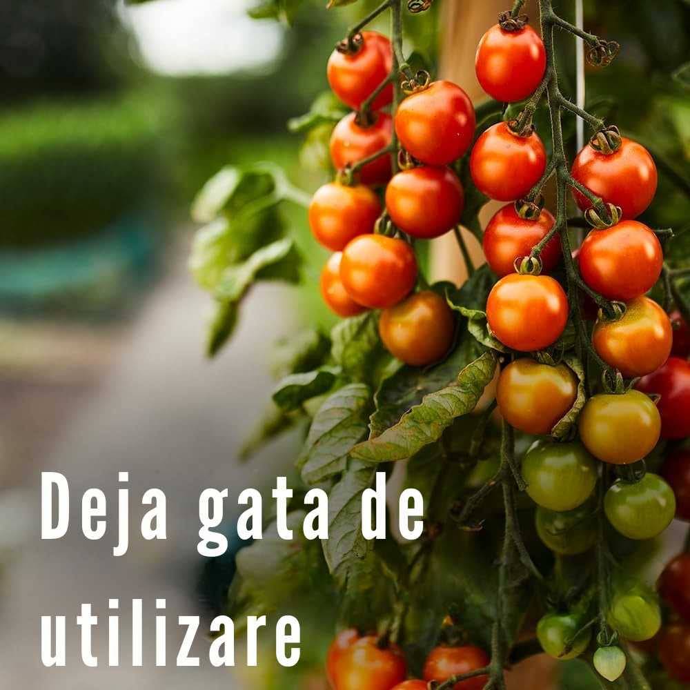 Spray insecticid COMPO Anti-daunatori Plus AF pentru plante ornamentale, legume si fructe, gata de utilizare, 500 ml