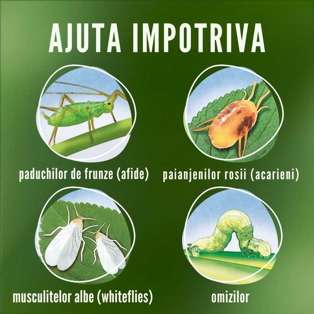 Spray insecticid COMPO Anti-daunatori Plus AF pentru plante ornamentale, legume si fructe, gata de utilizare, 500 ml
