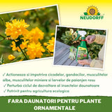 Insecticid Natural Universal Spray Neudorff Neem 450ml, pentru plante ornamentale, impotriva afidelor, tripsilor si omizilor, sigur pentru albine