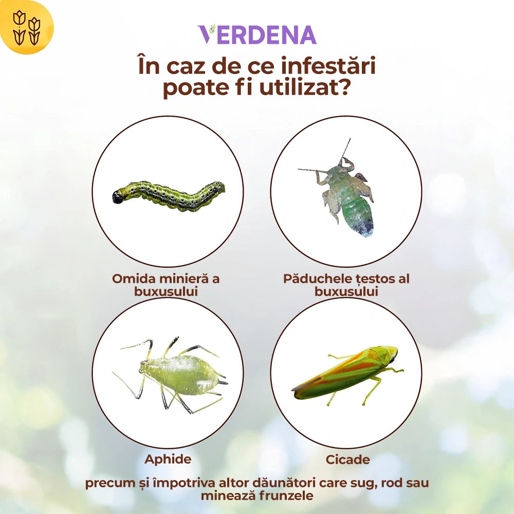 Insecticid Organic pentru Combaterea Daunatorilor la Buxus, 50 ml, SOLABIOL