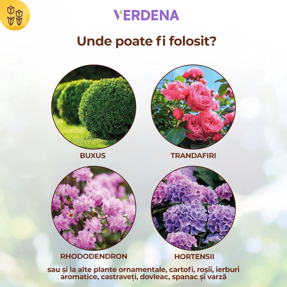 Insecticid Organic pentru Combaterea Daunatorilor la Buxus, 50 ml, SOLABIOL