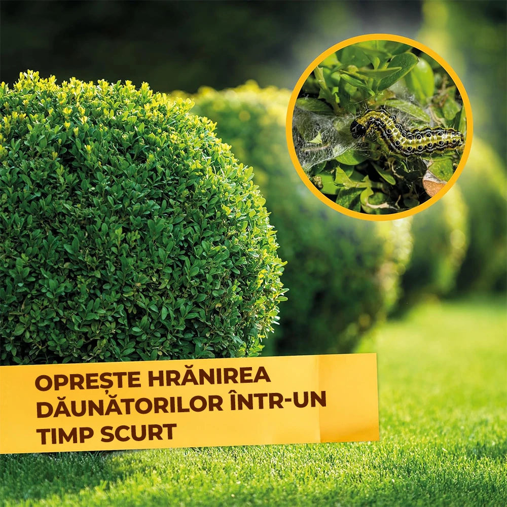 Insecticid Organic pentru Combaterea Daunatorilor la Buxus, 50 ml, SOLABIOL