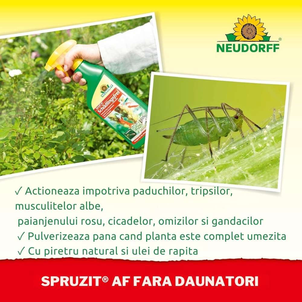 Insecticid Spray Anti-daunatori Universal Neudorff Spruzit AF, afide, omizi, tripsi, molie buxus, Neudorff - 250 ml