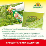 Insecticid Spray Anti-daunatori Universal Neudorff Spruzit AF, afide, omizi, tripsi, molie buxus, Neudorff - 250 ml