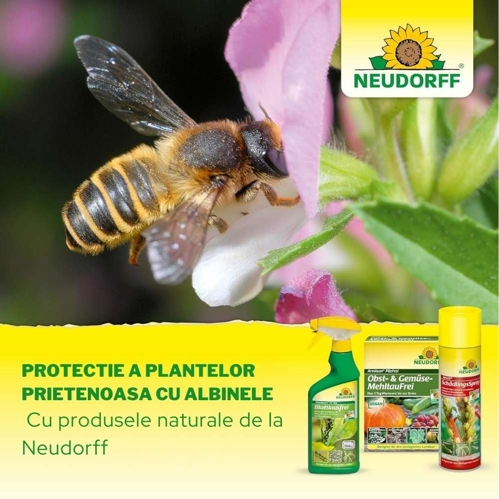 Insecticid Spray Anti-daunatori Universal Neudorff Spruzit AF, afide, omizi, tripsi, molie buxus, Neudorff - 250 ml