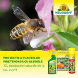 Insecticid Spray Anti-daunatori Universal Neudorff Spruzit AF, afide, omizi, tripsi, molie buxus, Neudorff - 250 ml