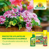 Insecticid Spray Anti-daunatori Universal Neudorff Spruzit AF, afide, omizi, tripsi, molie buxus, Neudorff - 250 ml
