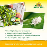 Insecticid Spray Anti-daunatori Universal Neudorff Spruzit AF, afide, omizi, tripsi, molie buxus, Neudorff - 250 ml