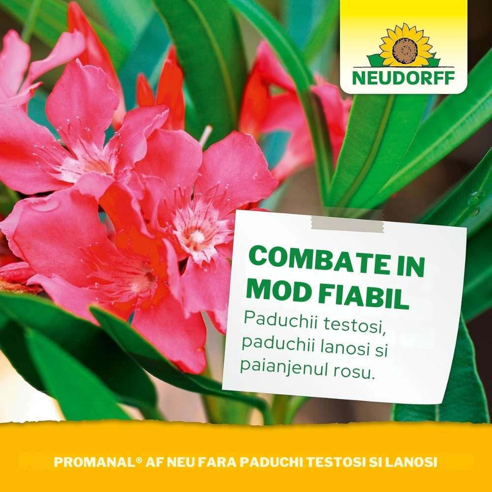 Insecticid Spray Anti-daunatori Universal Neudorff Spruzit AF, afide, omizi, tripsi, molie buxus, Neudorff - 250 ml