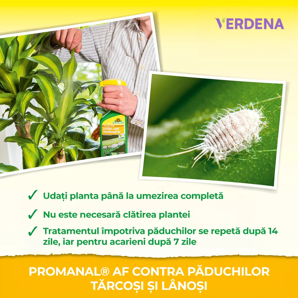 Insecticid contra Paduchiilor Testoase si Lanoase, 500 ml, Neudorff