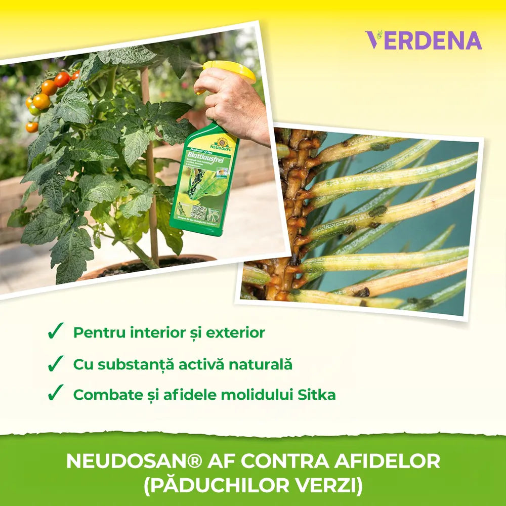 Insecticid pentru Afide, 500 ml, Sigur si Eficient, Neudorff