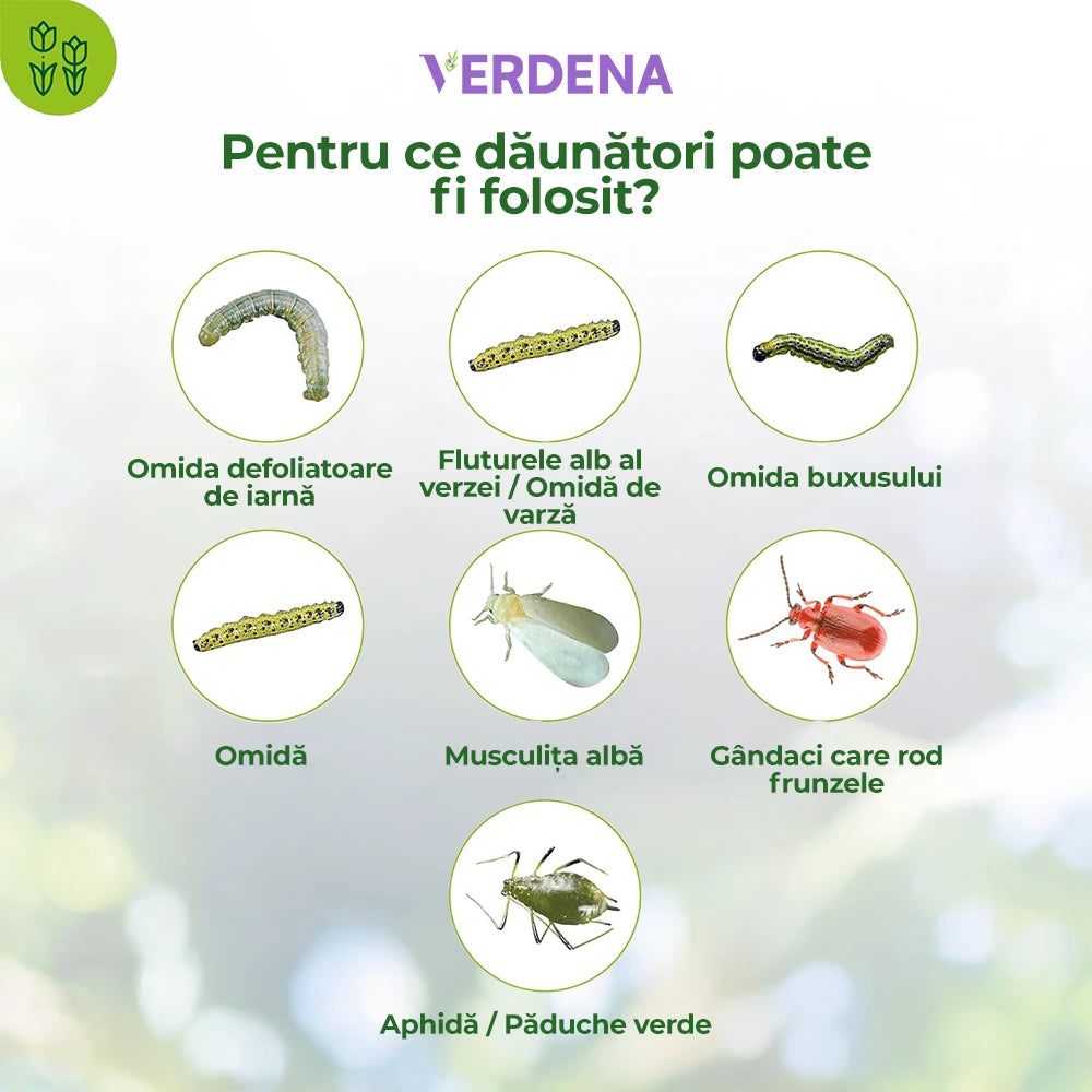 Insecticid pentru Plante Ornamentale si de Interior, 500 ml, PROTECT GARDEN