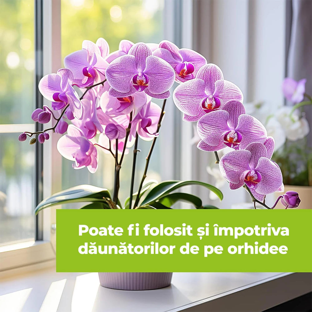 Insecticid pentru Plante Ornamentale si de Interior, 500 ml, PROTECT GARDEN