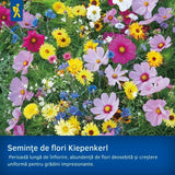 Seminte de degetar salbatic – aspect natural pentru zone umbrite, ajunge pentru 600 Plante