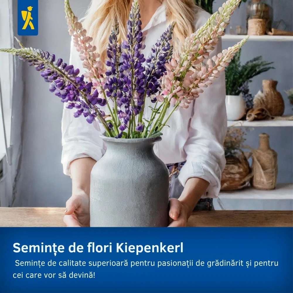 Seminte de degetar salbatic – aspect natural pentru zone umbrite, ajunge pentru 600 Plante