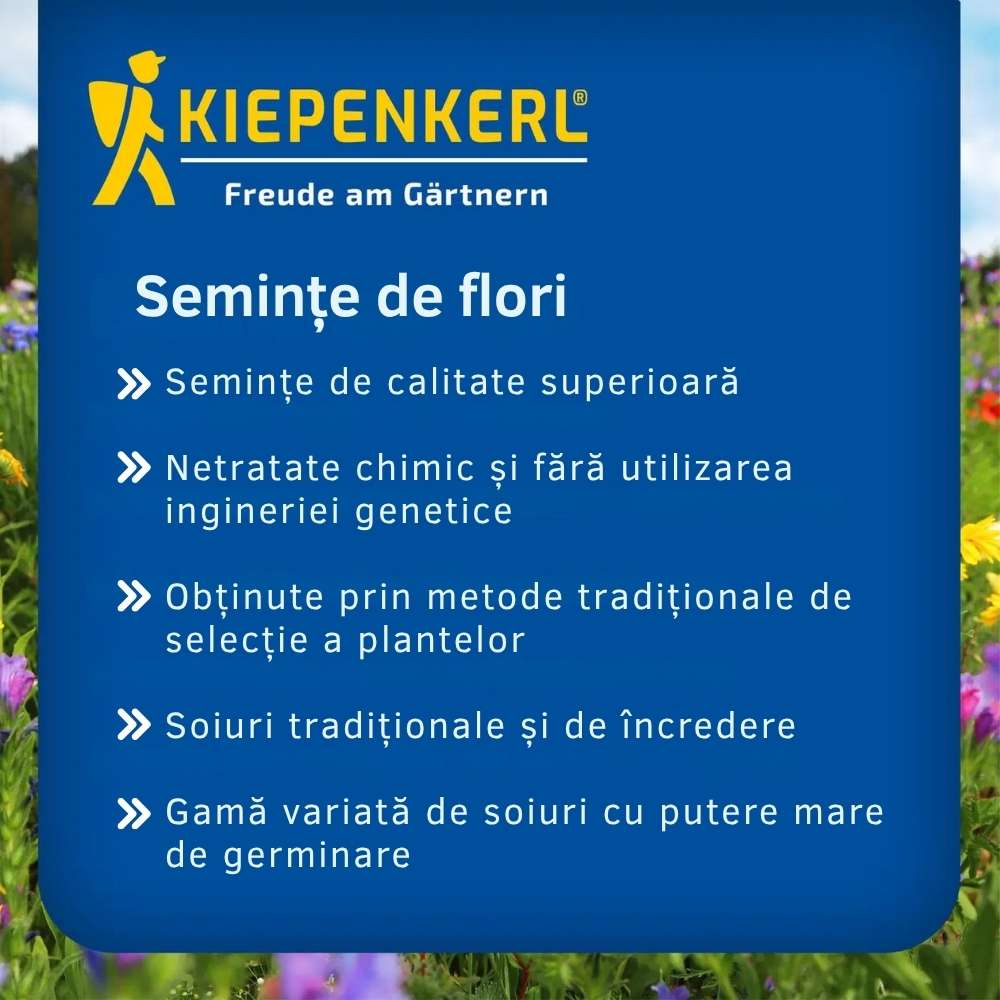 Seminte de degetar salbatic – aspect natural pentru zone umbrite, ajunge pentru 600 Plante