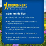 Seminte de degetar salbatic – aspect natural pentru zone umbrite, ajunge pentru 600 Plante