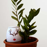 Vas de auto-udare plante  "Ren" LUTOYA, decorativ, ceramic, lut, natural, 350 ml