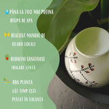 Vas de auto-udare plante  "Ren" LUTOYA, decorativ, ceramic, lut, natural, 350 ml