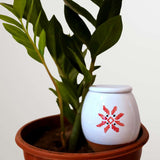 Vas de auto-udare plante  "Stea" LUTOYA, decorativ, ceramic, lut, natural, 200 ml