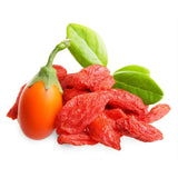 Goji Rosu (Lycium Barbarum Rosso), cu fructe rosii vibrante, bogate in nutrienti si antioxidanti