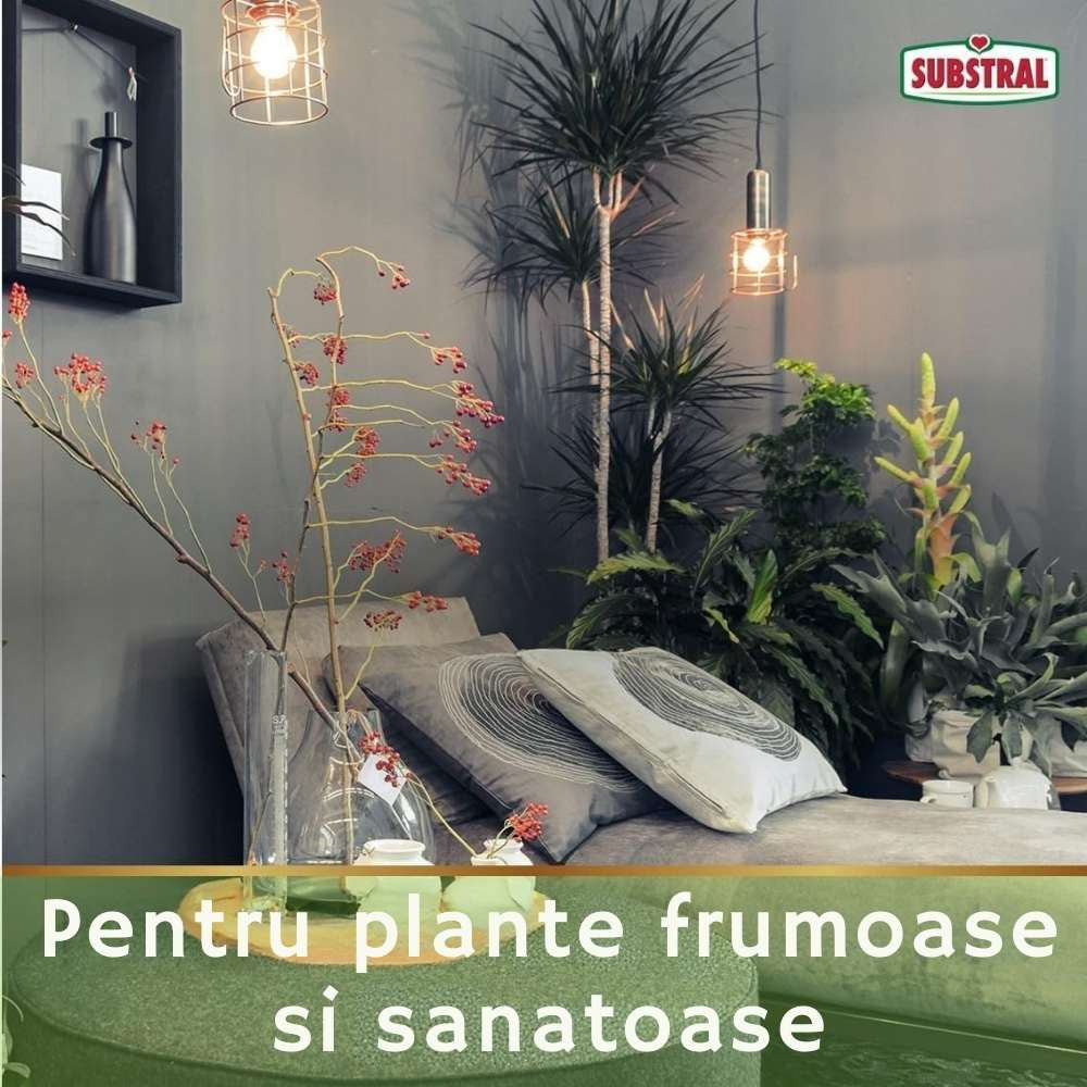 Insecticid Spray bio Substral Naturen impotriva daunatorilor pentru pomi fructiferi legume si plante ornamentale 750 ml