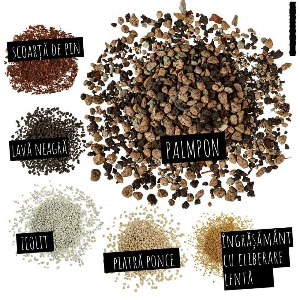 Substrat Mineral LECHUZA Palmpon 25 l, pentru palmieri si plante mediteraneene, 100% fara turba, cu ingrediente naturale