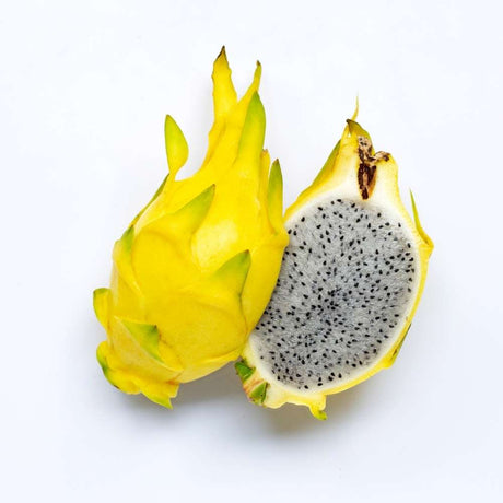 Fructul Pitaya galbena (Selenicereus megalanthus), cactus exotic cu fructe galbene foarte dulci, pulpa alba