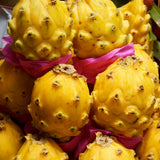 Fructul Pitaya galbena (Selenicereus megalanthus), cactus exotic cu fructe galbene foarte dulci, pulpa alba