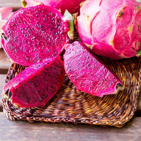 Fructul Pitaya rosie (Hylocereus hybridum) cactus exotic cu fructe dulci racoritor, aroma kiwi si para, pupla roz si flori parfumate