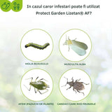 Insecticid Spray cu Efect Rapid contra Omizilor de Buxus 1 l  PROTECT GARDEN