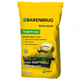 Seminte gazon Resilient Blue Lawn Barenbrug 5 kg, gazon rezistent la seceta, boli si trafic intens, regenerare rapida, pentru 250 mp