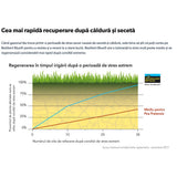 Seminte gazon Resilient Blue Lawn Barenbrug 5 kg, gazon rezistent la seceta, boli si trafic intens, regenerare rapida, pentru 250 mp
