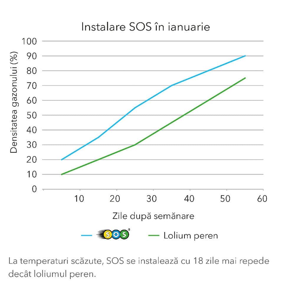 Seminte gazon SOS Lawn Repair Barenbrug 15 kg, refacere rapida si suprainsamantare eficienta, pentru 750 mp