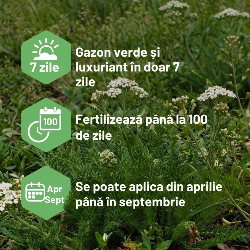 SUBSTRAL Ingrasamant pentru Gazon cu Erbicid 2 in 1, 800 g pentru 40 mp